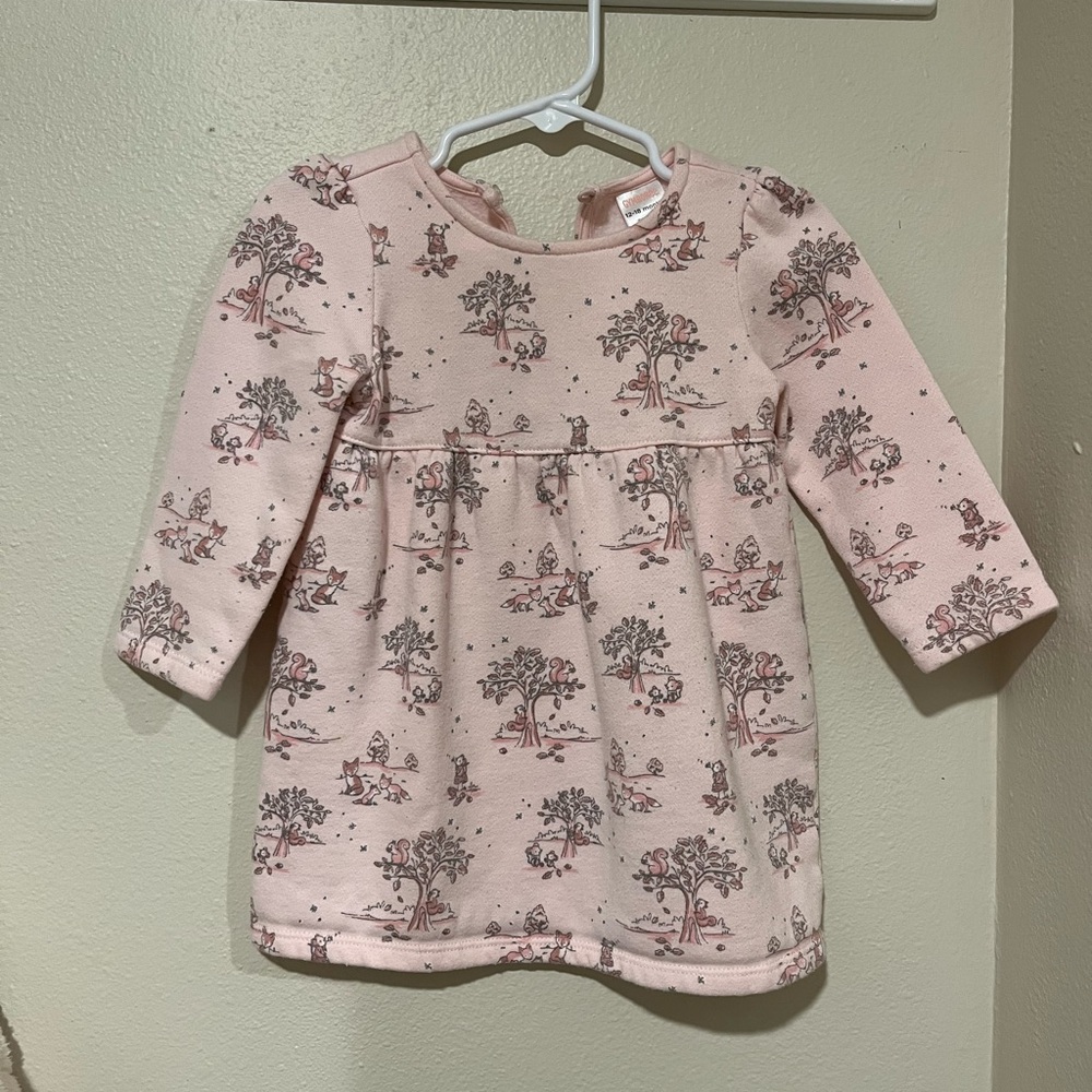 Gymboree Pink Long Sleeve Fleece Dress